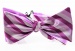 Silk bow tie