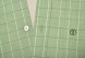 Green Slim Fit short sleeved shirt