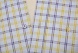 Checkered Slim Fit short sleeved shirt