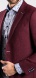 LIMITED EDITION burgundy blazer